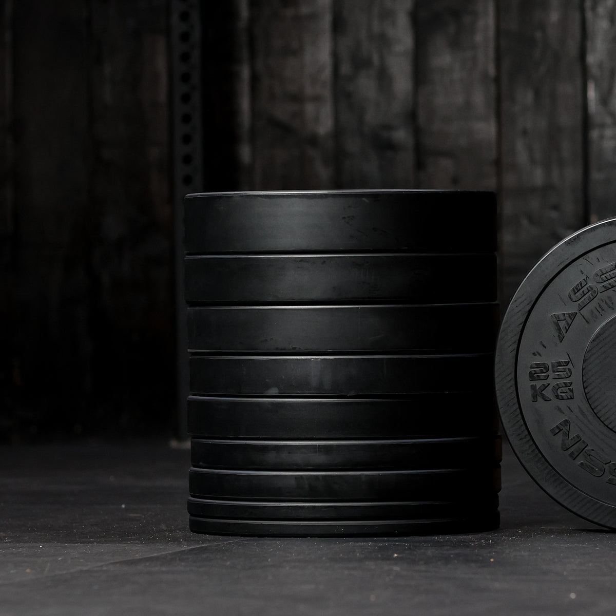 Economy Eco Bumper Plates 150kg set - Assassin Goods