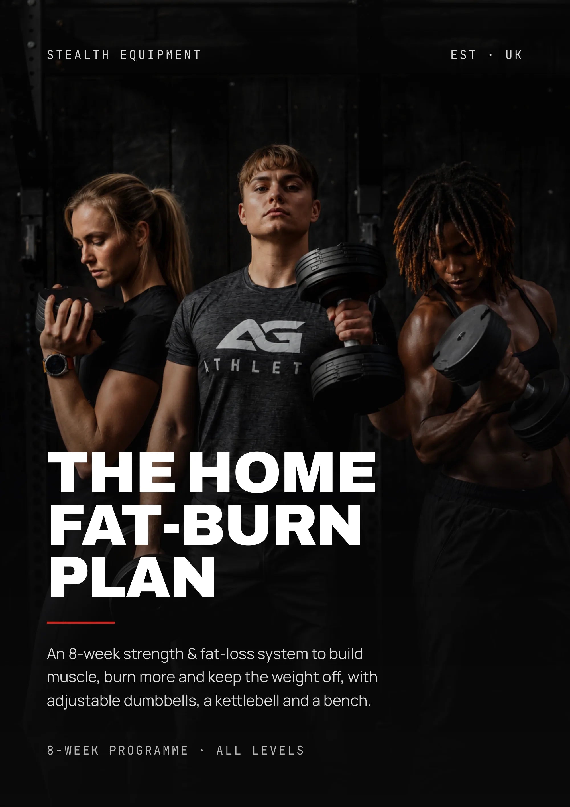 The Home FAT-BURN Plan