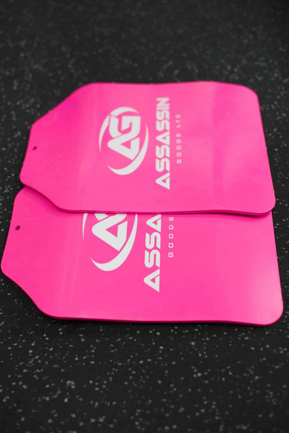 Weight Plates (Pair) - Assassin Goods