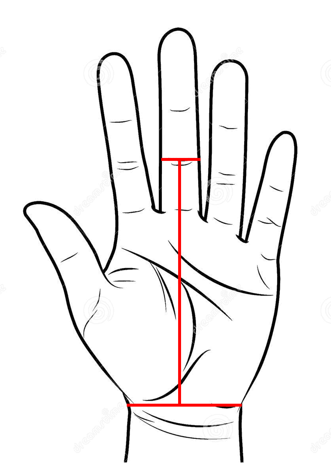 Assassin Grips (Hand Guards) V2 - Assassin Goods