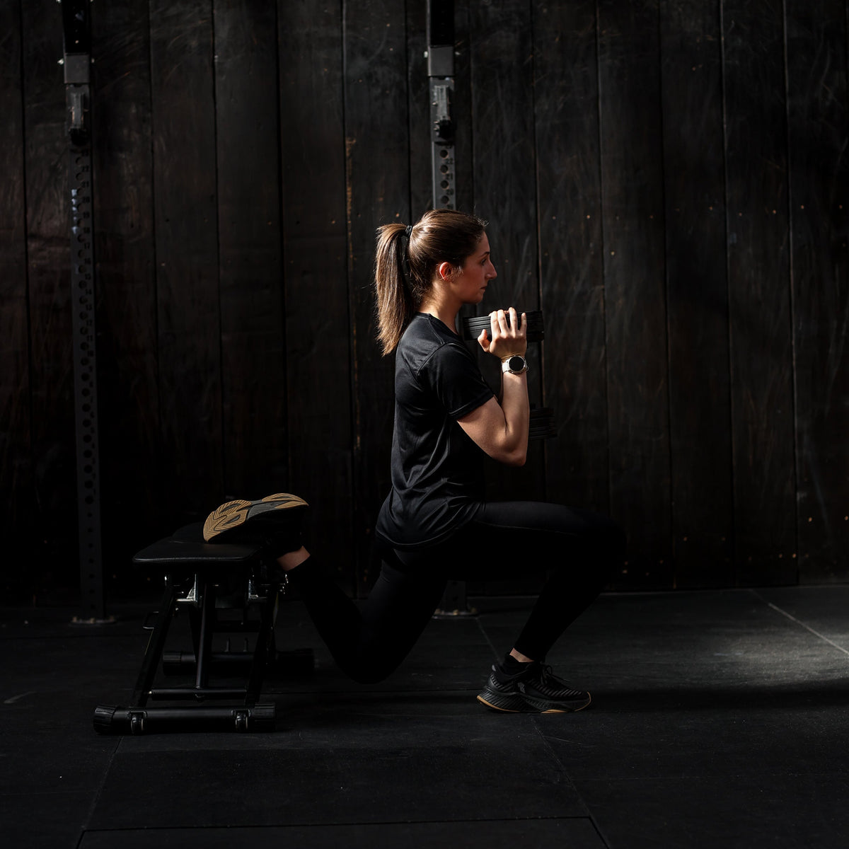 Stealth Adjustable Dumbbells Core Edition 40kg (Pair)