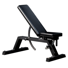 Commercial Adjustable Weights Bench